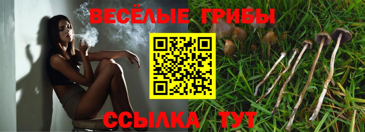 Галлюциногенные грибы Cubensis Сердобск