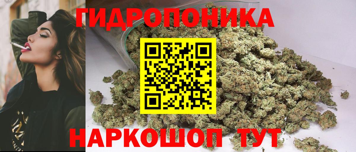 Бошки Шишки Bruce Banner  Вход с VPN  Марихуана сатива  Сердобск  МАРИХУАНА MAZAR  Бошки Шишки ГИДРОПОН 
